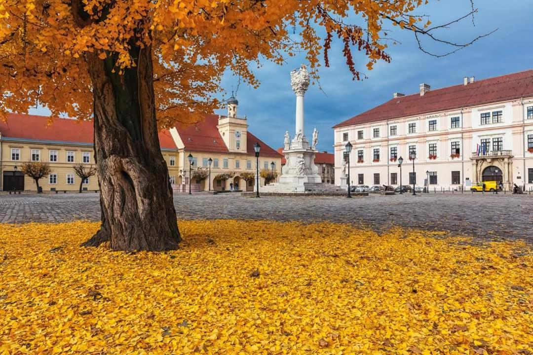 Apartman Aurelius - Private Parking Osijek Buitenkant foto