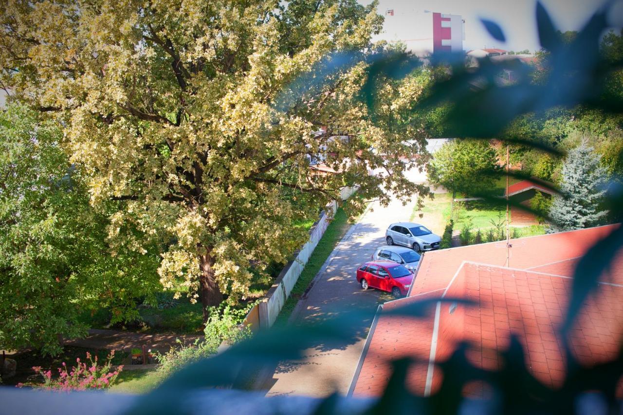 Apartman Aurelius - Private Parking Osijek Buitenkant foto