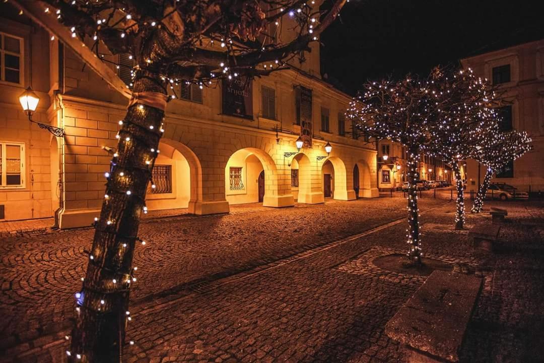 Apartman Aurelius - Private Parking Osijek Buitenkant foto